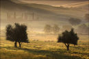 Val d'Orcia (1)